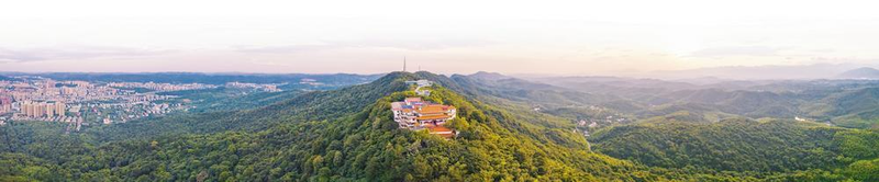 郴州食用菌种植技术