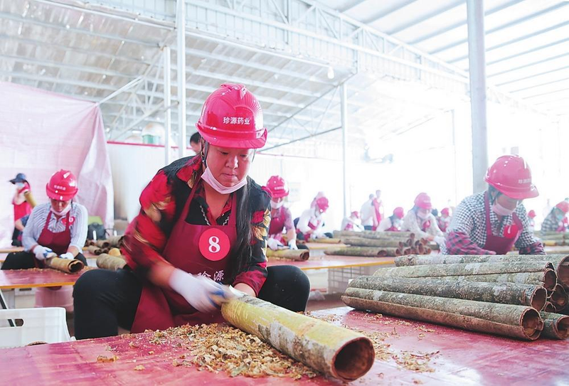 郴州食用菌种植技术