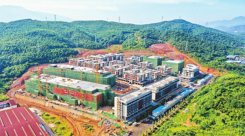 郴州食用菌种植技术