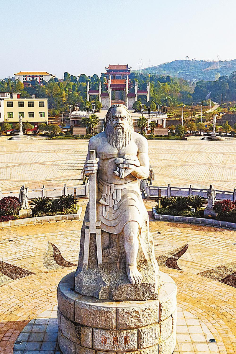 郴州食用菌种植技术