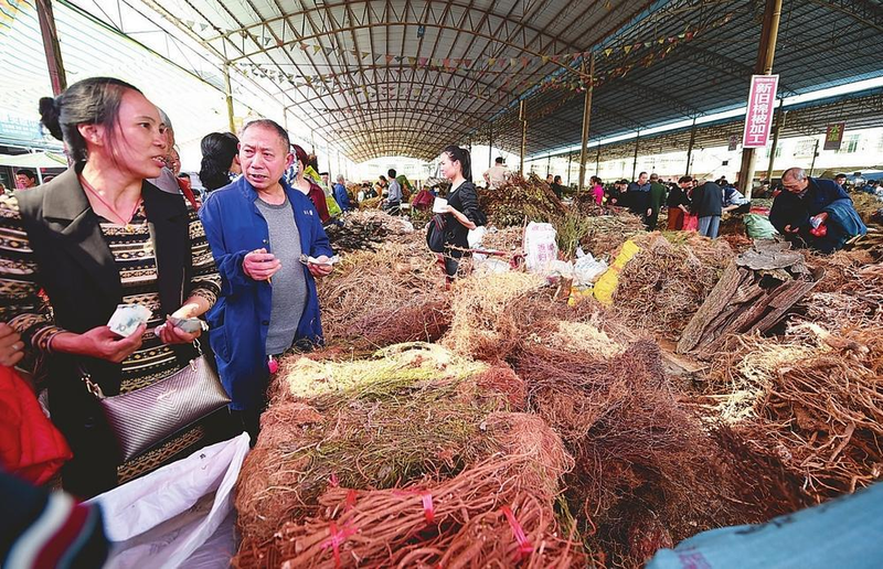郴州食用菌种植技术