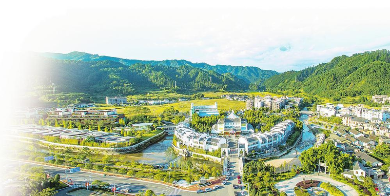 郴州食用菌种植技术