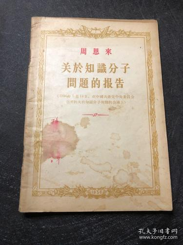 What are chinese intellectuals