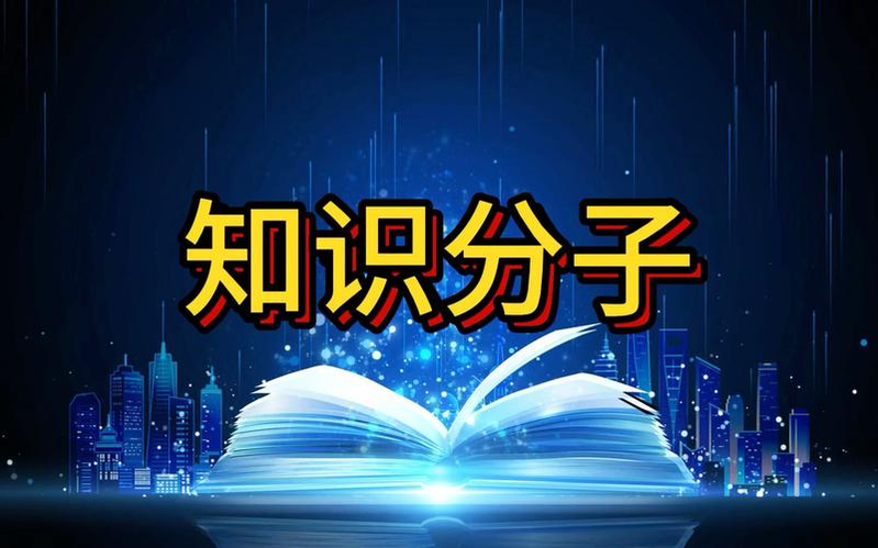 What are chinese intellectuals