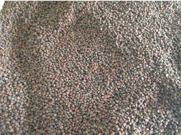 Maramite cultivation methods