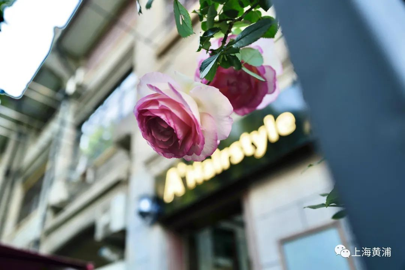 Picture of the method of breeding the season flowers