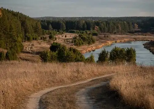 步入社会要懂得的经验