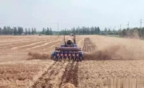 Soybeans cultivation techniques