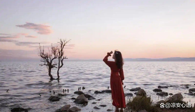 步入社会要懂得的经验