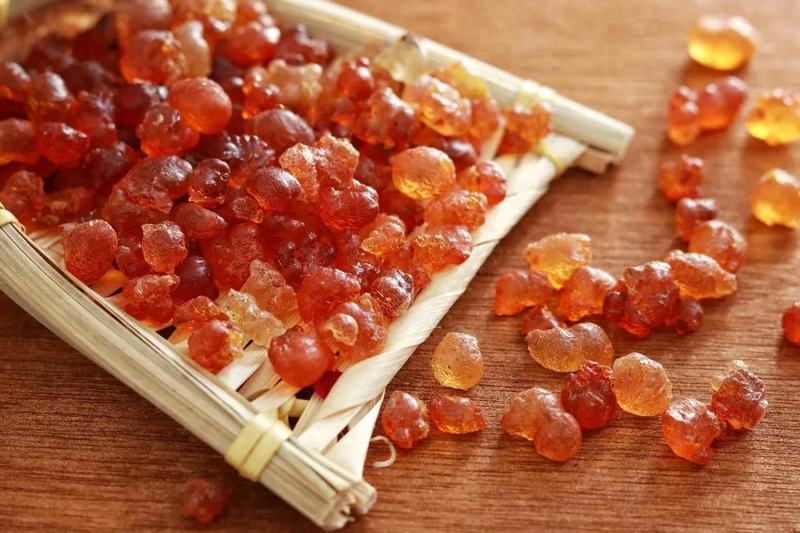 The function of a swallow nest