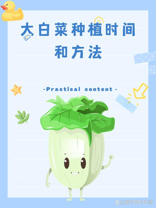 白菜的种植方法