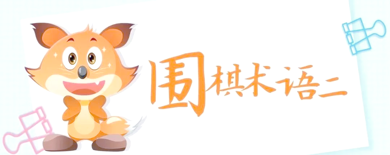 Comment on chess terminology