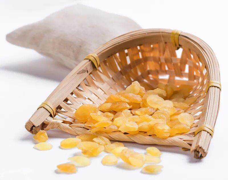 The function of a swallow nest