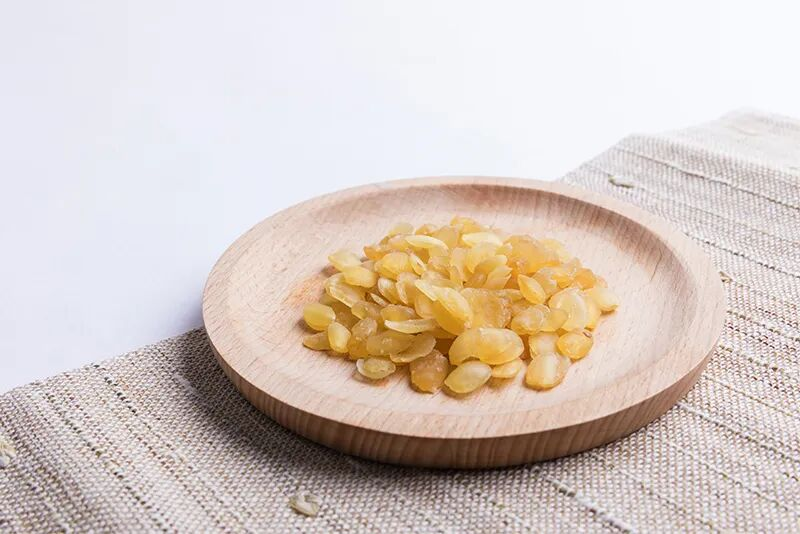 The function of a swallow nest