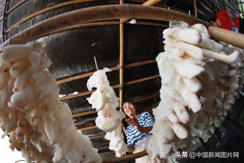 Pyramid cultivation techniques
