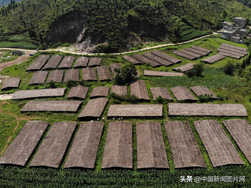 Pyramid cultivation techniques