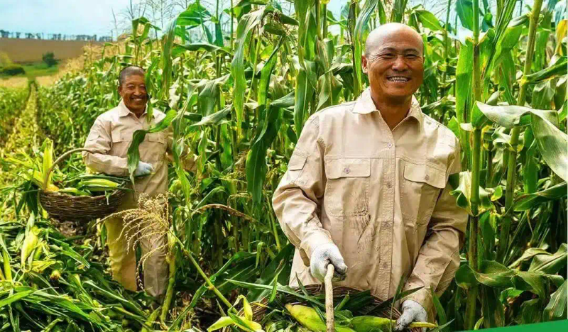 Fruit and corn can be planted in the northeast