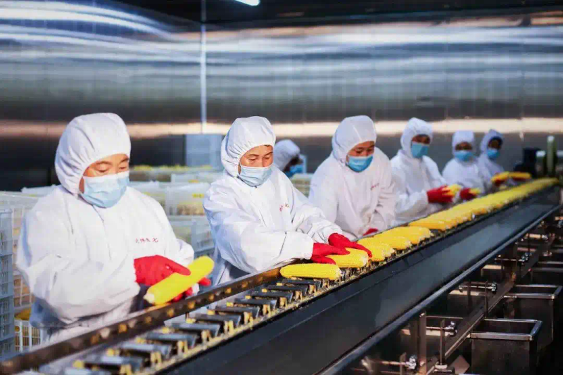 Fruit and corn can be planted in the northeast