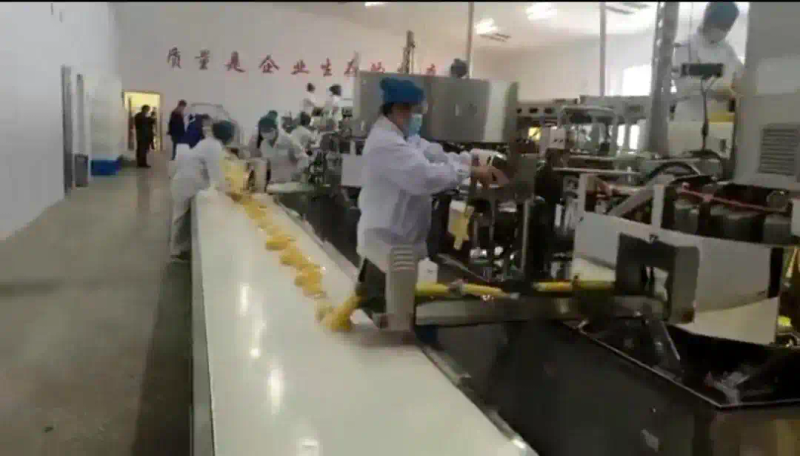 Fruit and corn can be planted in the northeast