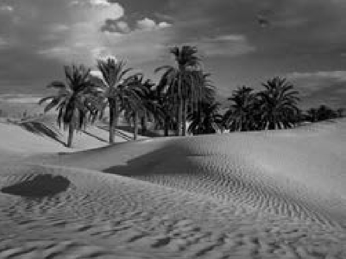 Climate causes of tropical deserts in africa