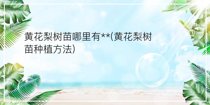 核桃树的种植技术