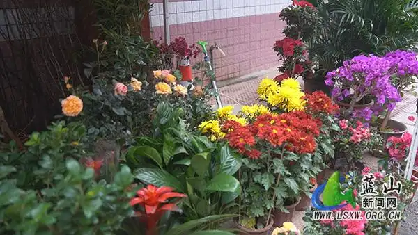 The price of the tree