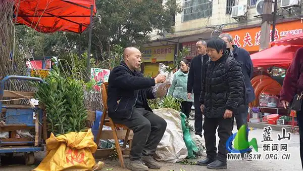 The price of the tree