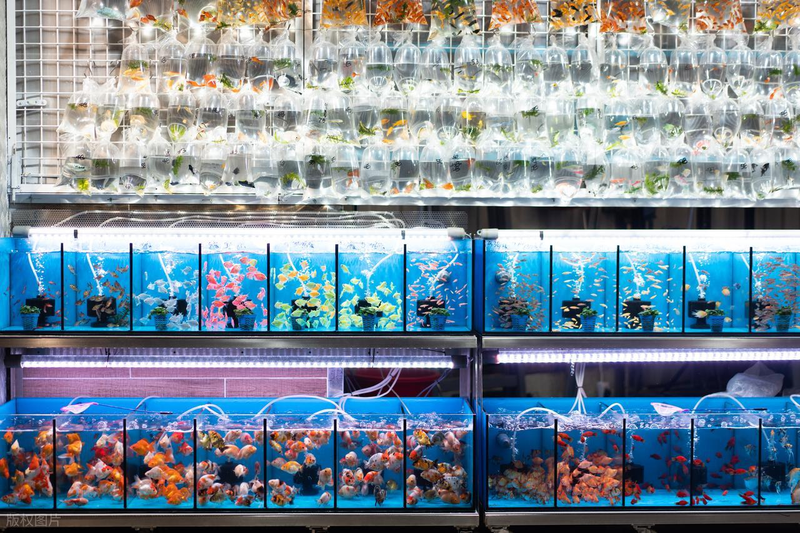 Aquator hydrograss farming methods