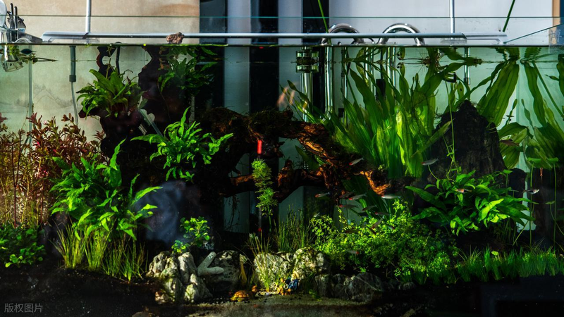 Aquator hydrograss farming methods