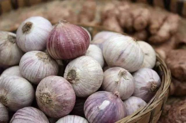 大蒜怎么种植方法视频