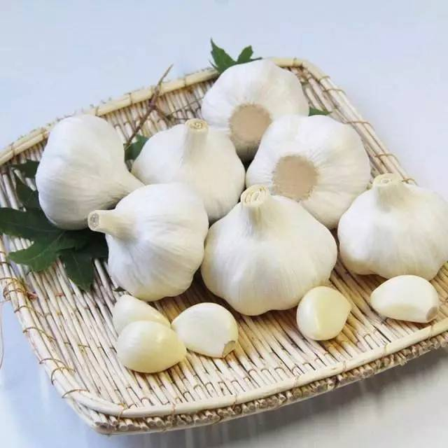 大蒜怎么种植方法视频