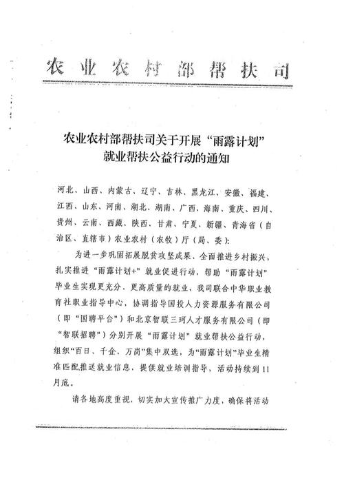 大棚草莓苗种植方法