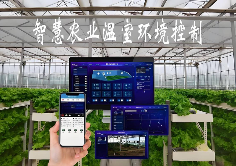 大棚草莓苗种植方法