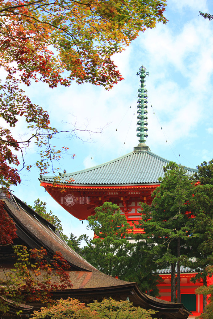 The principle and the law of the buddha's liberation