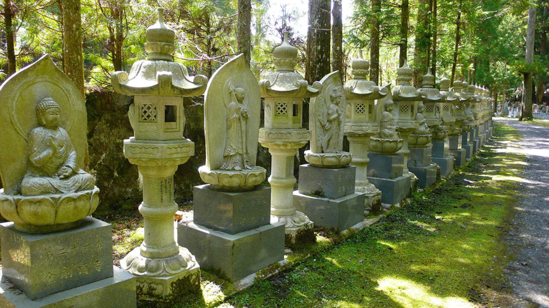 The principle and the law of the buddha's liberation