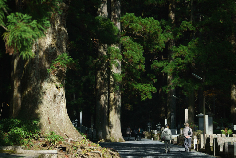 The principle and the law of the buddha's liberation