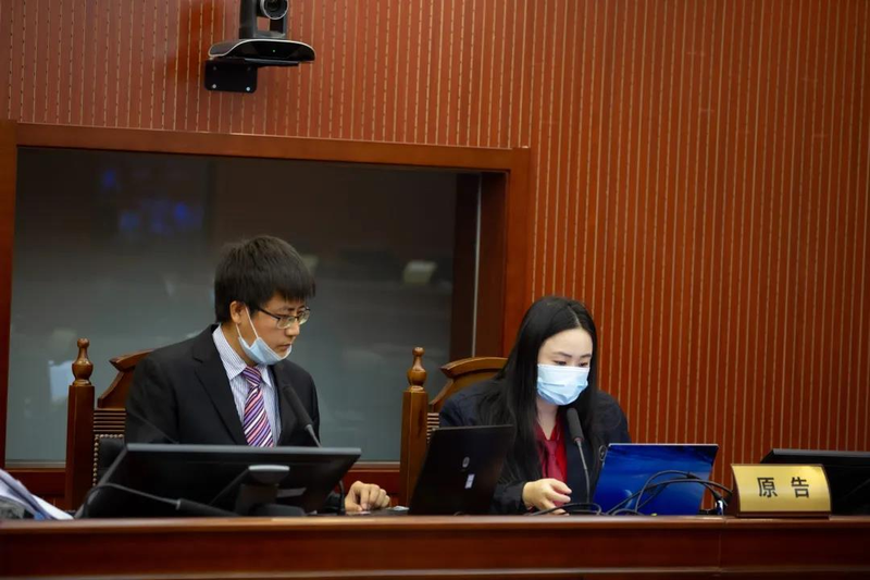 知识产权侵权案