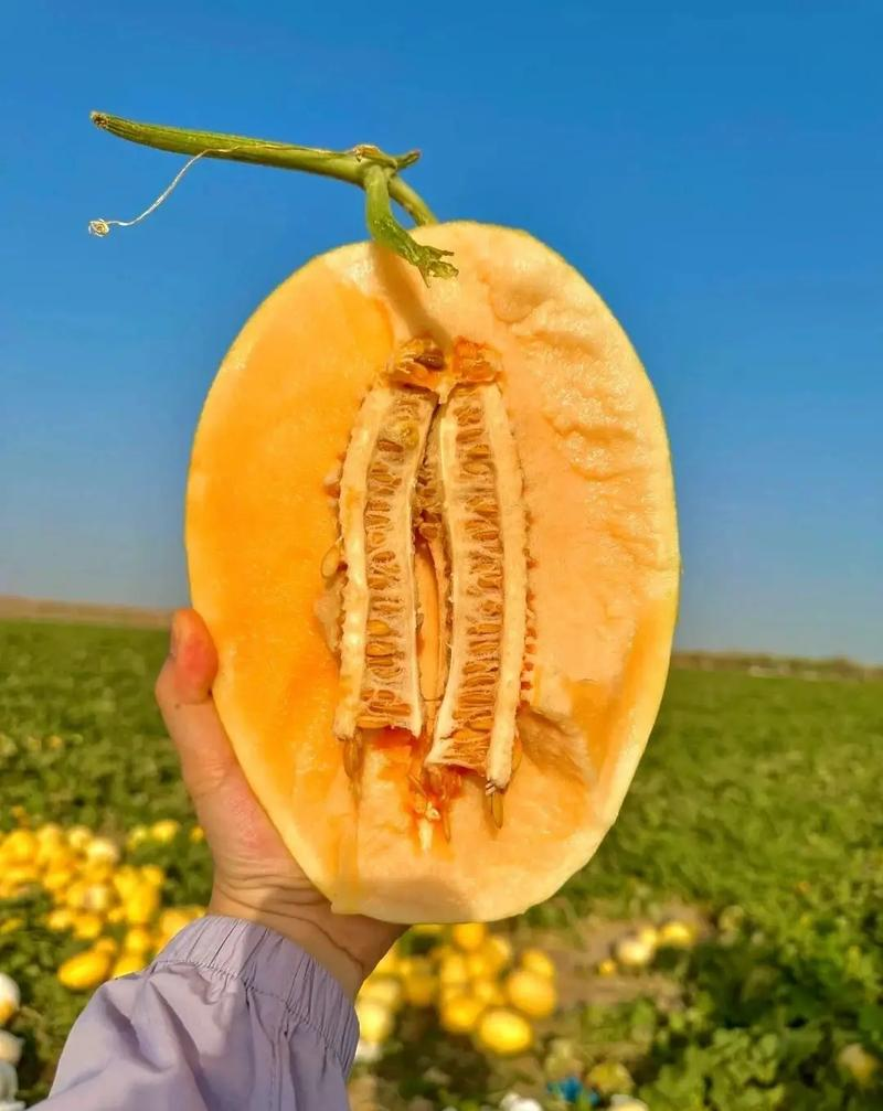 Fruit knowledge questions and answers