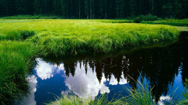 欧洲电子商务网站排名