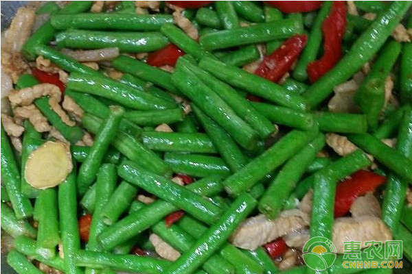 Spring shed planting techniques
