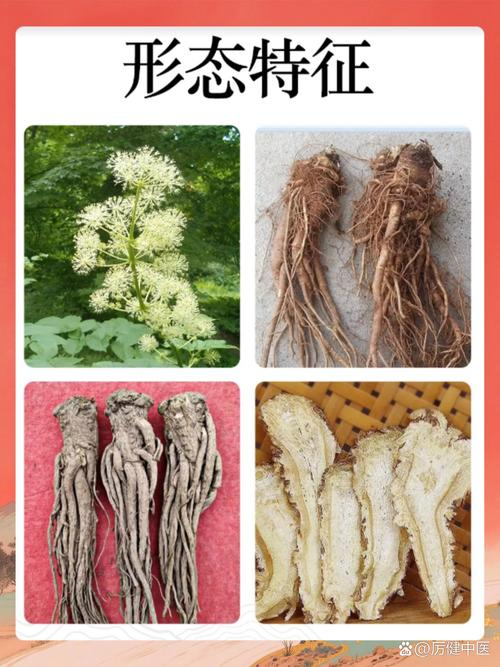 Beauty breeds little knowledge