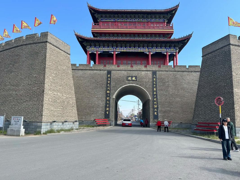 It's called a garlic plant