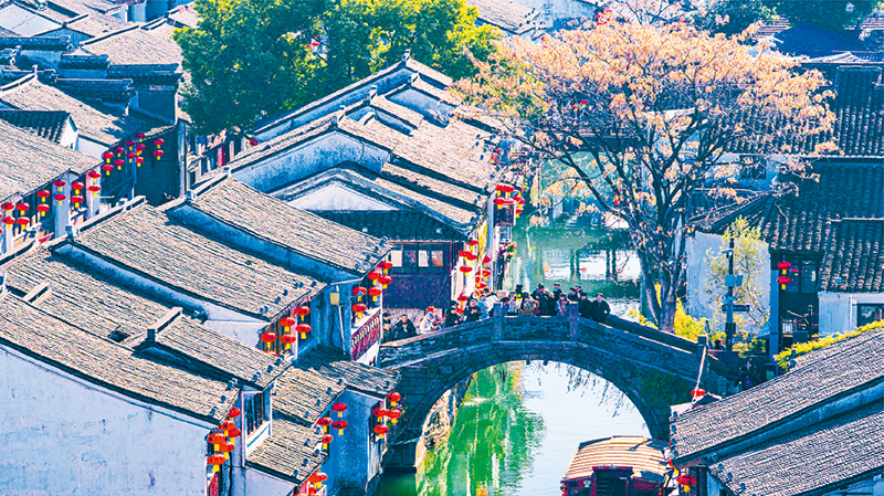 如何指导学生构建知识体系