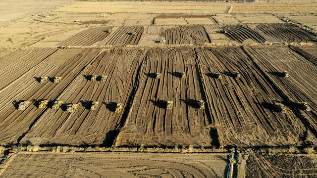 中国有机农业网种植水果