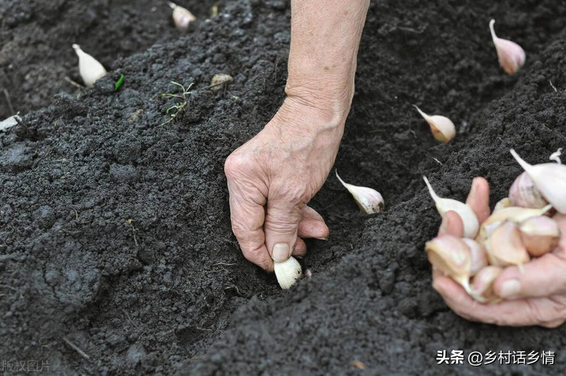 The way the pelvis is grown
