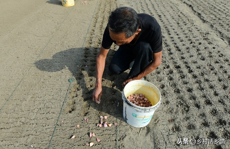 The way the pelvis is grown