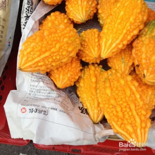 Gold bell planting techniques