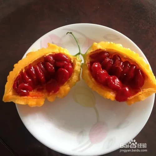 Gold bell planting techniques