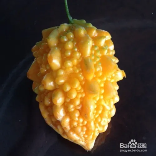 Gold bell planting techniques