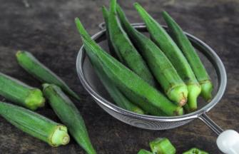 秋葵的种植方法 时间